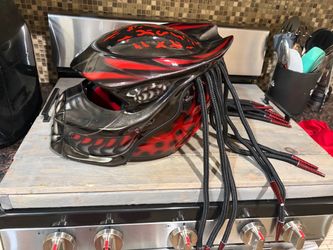 Predator Motorcycle Helmet