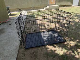 Dog cage