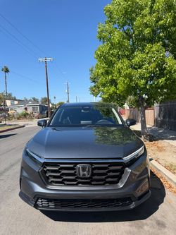 2025 Honda crv