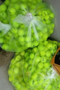 100 Used Tennis Balls for $40