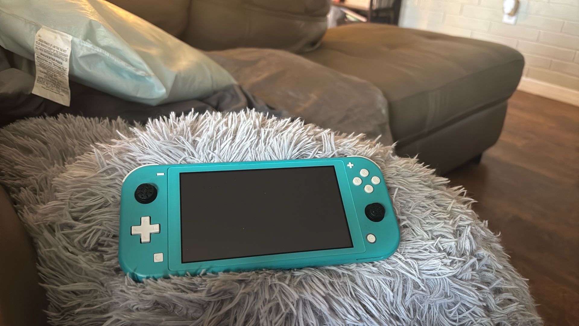 Nintendo Lite 