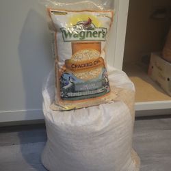 Corn or Maize For animals or Birds 