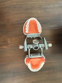 Acadental Typodont ModuPro One