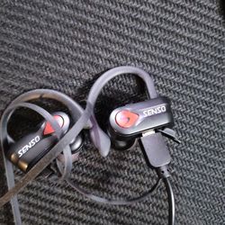 Sports Ear Buds 
