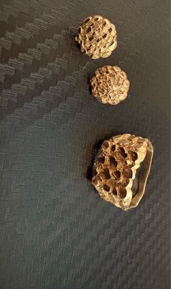 Nugget ring and earring ( check description )