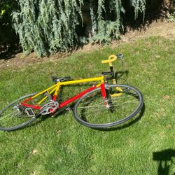 Aquila Steel Road Bike Durace Shimano Components