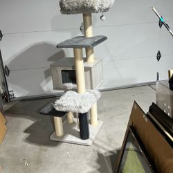   CAT 5 Levels + Condo