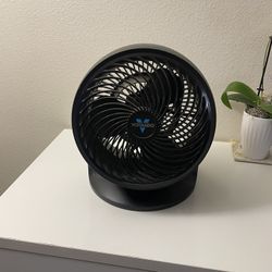 Vornado Fan