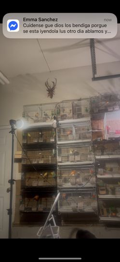 Breederg Cage For Sale