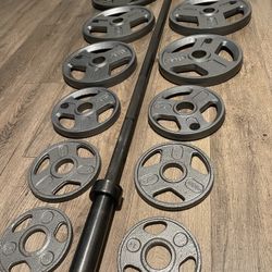 Olympic 7 ft 45 lbs Barbell With Tree Grip Weider Weight Plates  [290 lbs]