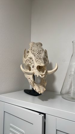 Boar Skull Sculpture on Stand