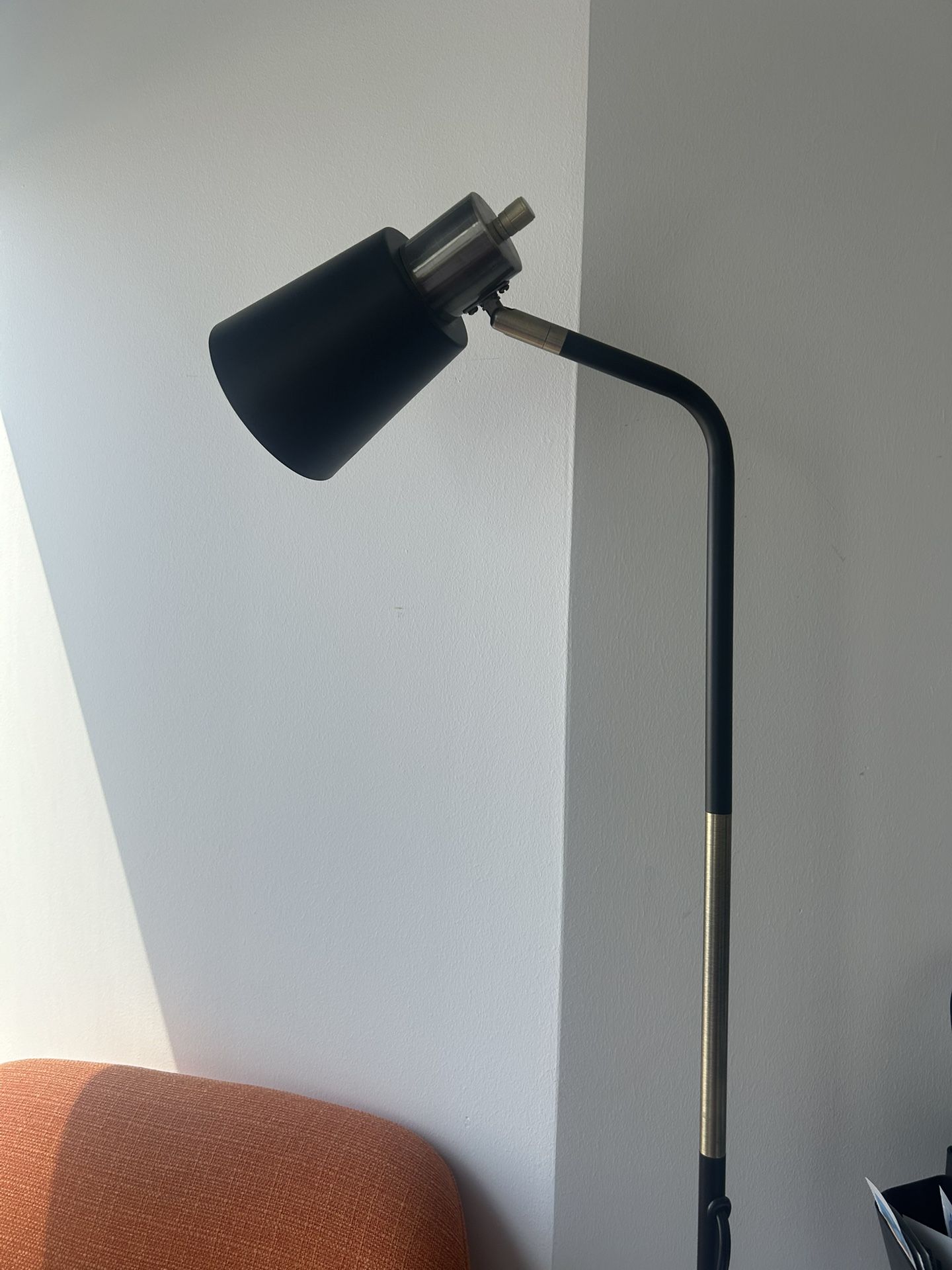 Black Gold Floor Lamp