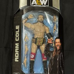 AEW FIGURE
