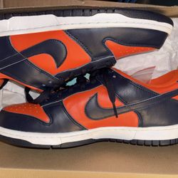 Nike Dunk Low Champs (new) 