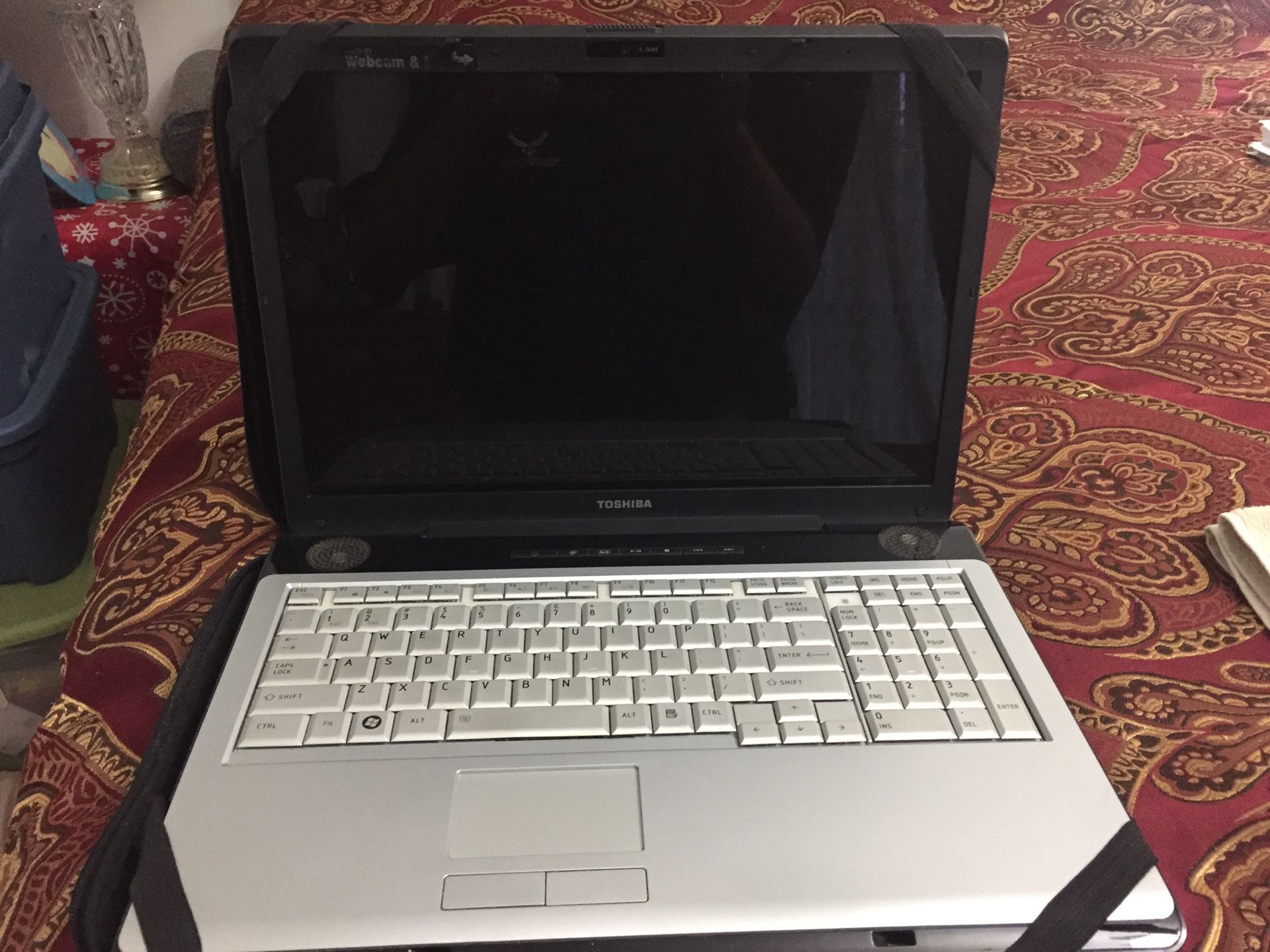 Toshiba 17 inches huge laptop does not turn on
