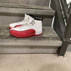 Jordan 12”s 