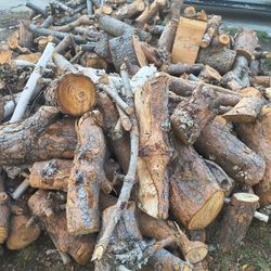Firewood Cut Already!!!🔥🪵🪓35$ I Can Deliver