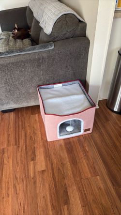 Cute cat house brand new