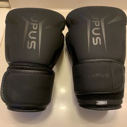 10oz Pair Of Boxing Gloves-BRAND NEW!