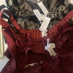 Curve Muse Bras