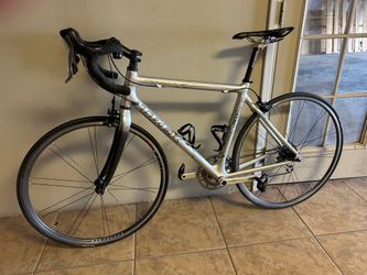 Trek Pilot 5.0 Road bicycle
