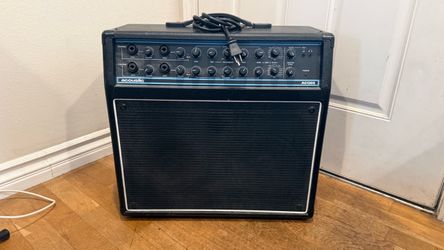 🎸 Acoustic AG120S 120-Watt Stereo Acoustic Performance System – $200 OBO