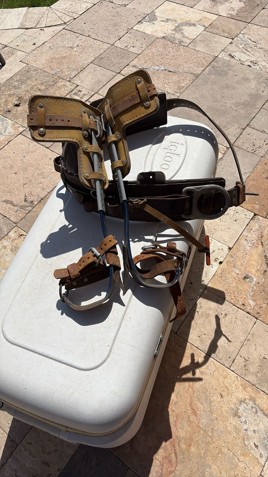 Tree Climbers And Linemen’s Belt