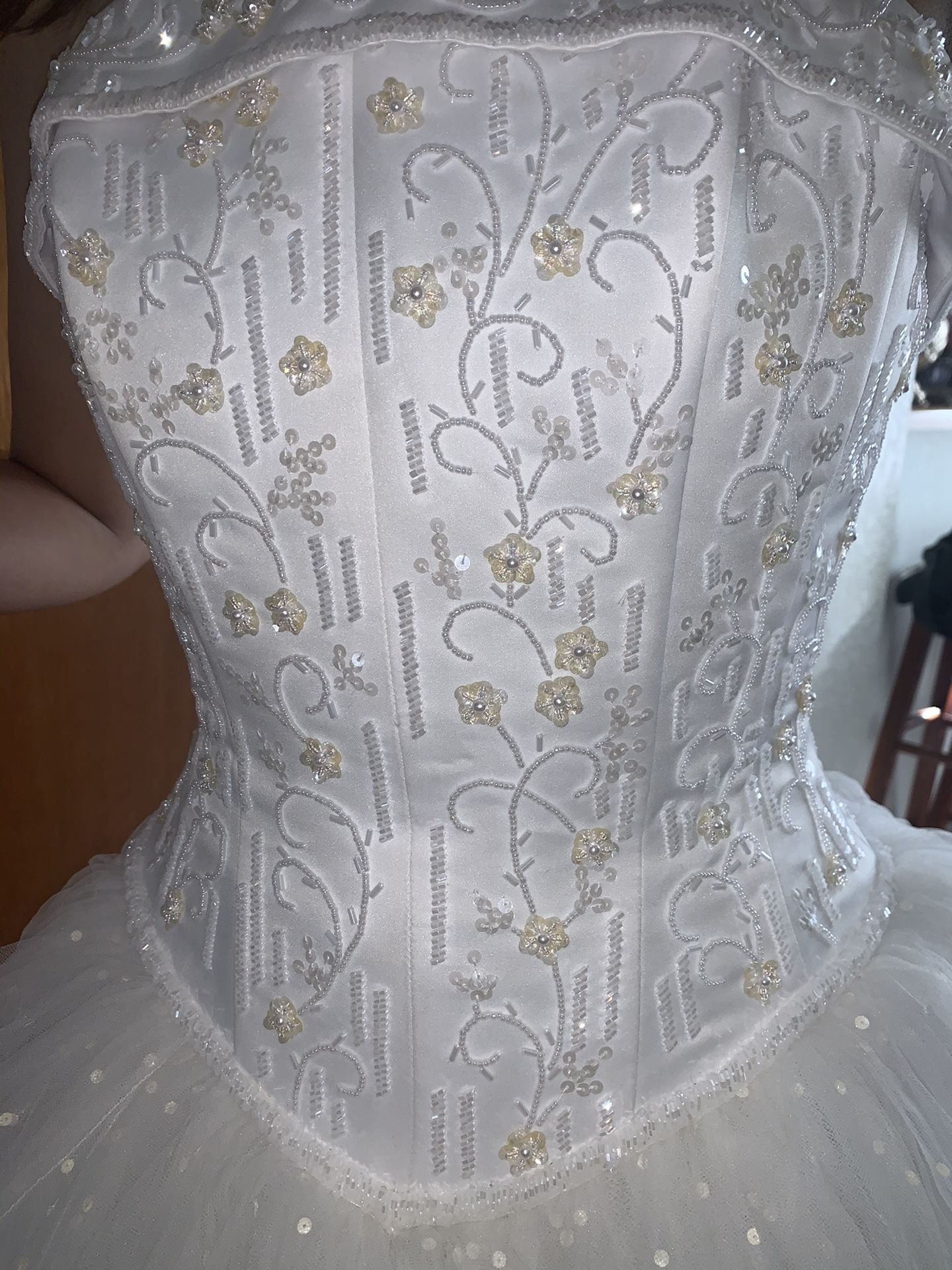 Quinceanera/Wedding dress