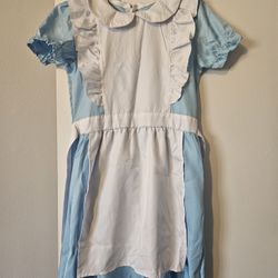 Dorothy Coustium From Wizard Of OZ