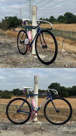 Bianchi Brava