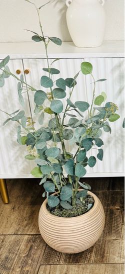Plant decor