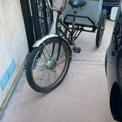 Worksman Cycles Adult Tricycle 