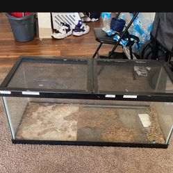 20 Gallon Tank 