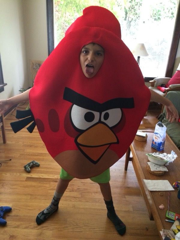 Angry Birds Costume
