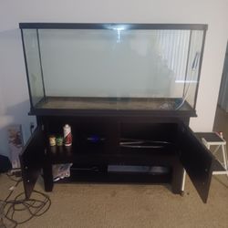 55 Gallon Fish Tank With The Stand