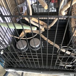 Bird Cage
