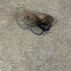 Hair After Girl Fight