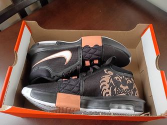 Nike LeBron witness size 8