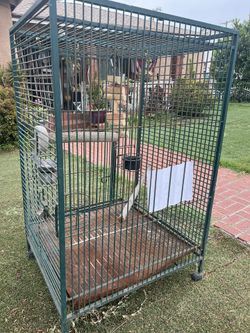 Bird cage