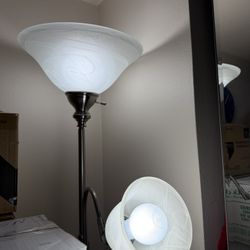 Floor Lamps