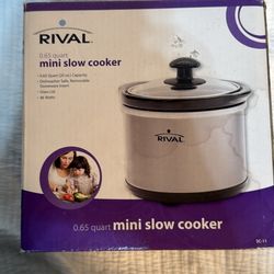 Mini Slow Cooked