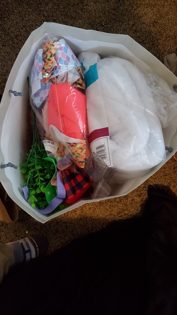 Free Bag Of Craft Supplies