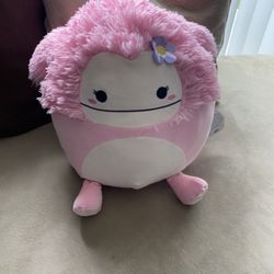 Squishmallow 