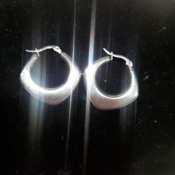 Stainless Steel Earrings 