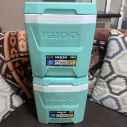 Small Lunch Coolers $20 Each 