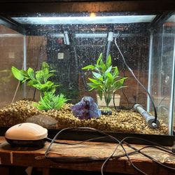 Complete Aquarium Setups 3 Tanks