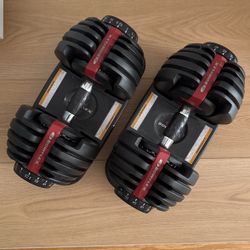 Bowflex SelectTech Dumbbells 552
