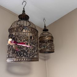 Decorative Bird Cages 