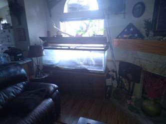 120 gallon fish tank