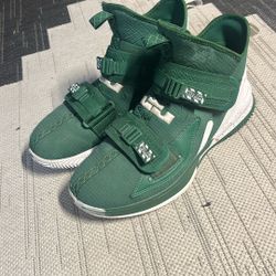 LeBron basketball shoes